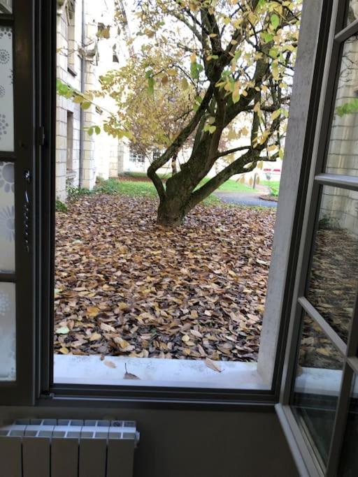 Superbe Appartement Saumur Exterior foto